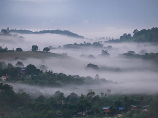 Foggy on mountains