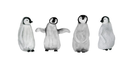 watercolor painting baby penguins