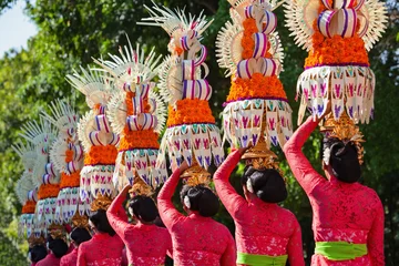 Gardinen Eine Gruppe schöner balinesischer Frauen in Kostümen - Sarong, tragen Opfergaben für die hinduistische Zeremonie. Traditionelle Tänze, Kunstfestivals, Kultur der Insel Bali und Indonesiens. Indonesischer Reisehintergrund © Tropical studio