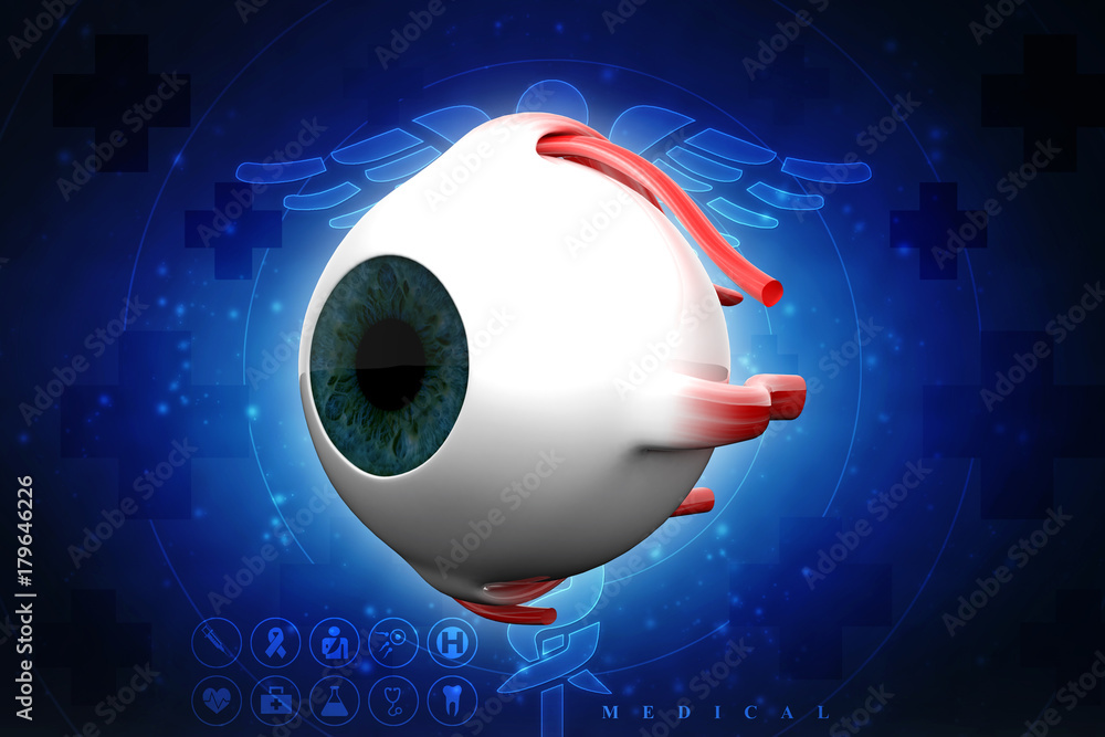 Poster 3d rendering Human eye structure
