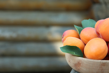 Juicy apricots in bowl outdoor