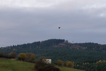 Children playing with kite on meadow. Slovakia
