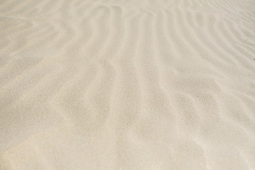 Fototapeta na wymiar closeup of sand pattern of a beach in the summer