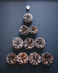 Pine cone Christmas tree decoration elements Black background