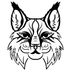 lynx head sketch vector graphics monochrome