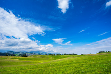 Obraz premium Ranch in the valley