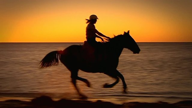 Silhouette of draft horses galloping on beach front through water on Sunset (Note: Ex Digital Betacam)