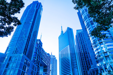 Skyscrapers from a low angle view