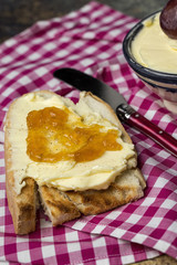 Toasted bread with different pates.