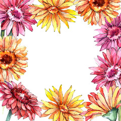 Obraz premium Wildflower gerbera flower frame in a watercolor style. Full name of the plant: gerbera. Aquarelle wild flower for background, texture, wrapper pattern, frame or border.