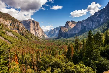 Fotobehang Yosemite Nationalpark Half Dome vom Tunnel view © dietwalther