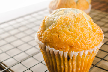 Blueberry muffins on cooling rack