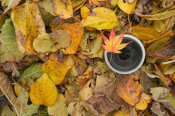 A camera lens over a colored leaves background in autumn