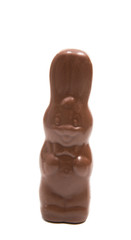 chocolate bunny isolated