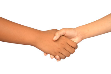 Shake hands on a white background