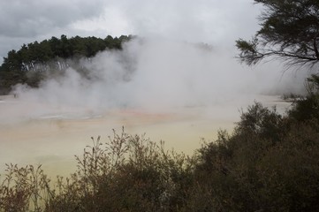 Rotorua thermal Park New Zealand. Volcanic
