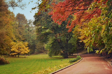 Obraz premium Curved footpath with several wooden benches in a row under canopy of yellow, orange, green red leaves, magnificent branches near a green lawn under blue autumn sky. Calm peaceful atmosphere