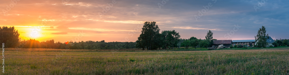 Wall mural deers having a morning feast on the crop field at sunrise. mild morning sunlight shines upon the fie