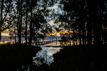 Still Lake Reflection