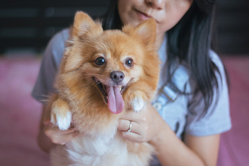 Cheerful asian young teen girl playing and happy fun with her dog at home,feeling happy and smiling face