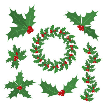 Christmas holly berry leaves. Vector illustration.