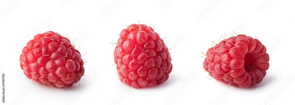 Wall mural raspberry