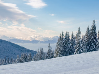 Fototapeta na wymiar Winter landscape of the Carpathian Mountains