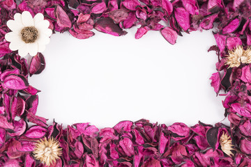 colorful dried flowers frame on a white background