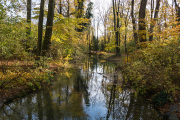 River in the Englischer Garten in Munich, Germany