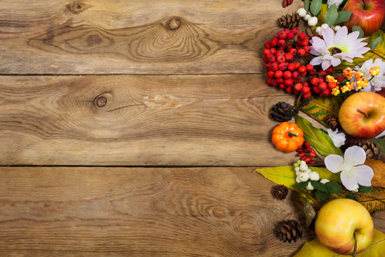 Thanksgiving background with rowan berry and white flowers, copy space