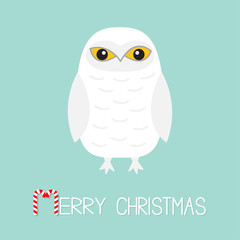 Merry Christmas Candy cane text. White Snowy owl. Sitting bird with wings. Yellow eyes. Arctic Polar baby animal. Flat design. Blue winter background