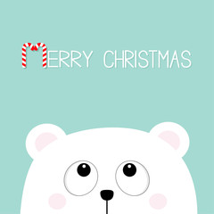 Merry Christmas Candy cane. Polar white little small bear cub head face looking up. Big eyes. Cute cartoon baby character. Arctic animal. Flat design Winter blue background.