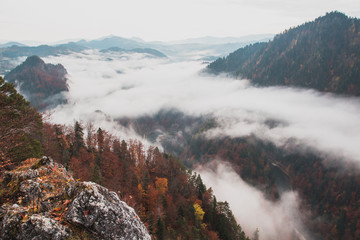 Mountain landscape in the fog, autumn