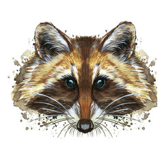 watercolor picture of an animal of the genus of predatory mammals of the raccoon family, raccoon raccoon, raccoon, raccoon portrait, raccoon head, fluffy wool, winter skin, white background for decora