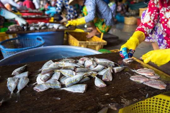 Dessecting yellowstripe scad fish in manual production line in south of Vietnam