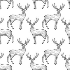 Seamless pattern with deer.