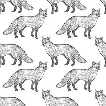 Seamless pattern with fox.
