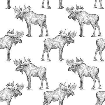 Seamless pattern with moose.