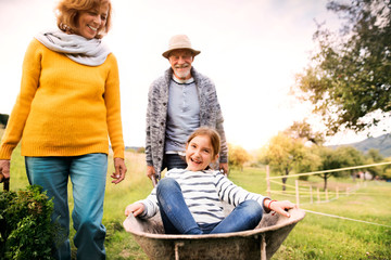 Senior couple with grandaughter gardening in the backyard garden