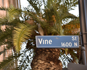 Fototapeta premium Vine Street
