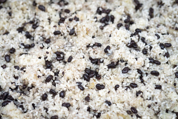 Mix of sticky glutinous rice with black bean