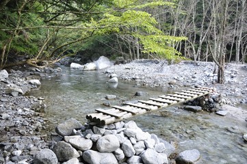 Fototapeta na wymiar 西丹沢 渓流を渡る木橋