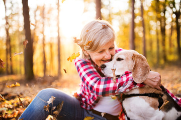 Senior woman with dog on a walk in an autumn forest.