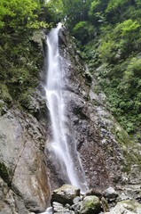 Obraz premium 丹沢の本棚の滝