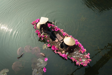Rowing boat with pink waterlily and two Vietnamese women on Yen stream, Ninh Binh, Vietnam