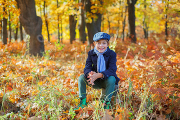 Cute little kid boy enjoying in autumn park.