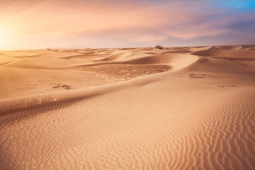 Fototapeta na wymiar Desert in Xinjiang