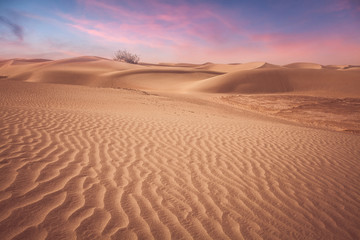 Fototapeta na wymiar Desert in Xinjiang