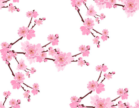 Sakura. Branch with gentle lush flowers and cherry buds. Seamless without a mesh and gradient. illustration