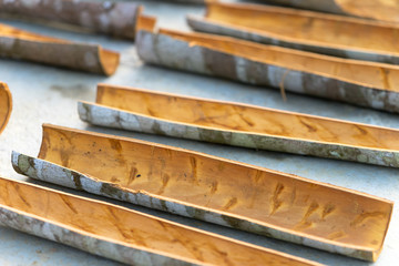 Fresh Cinnamon sticks drying in the midday sun